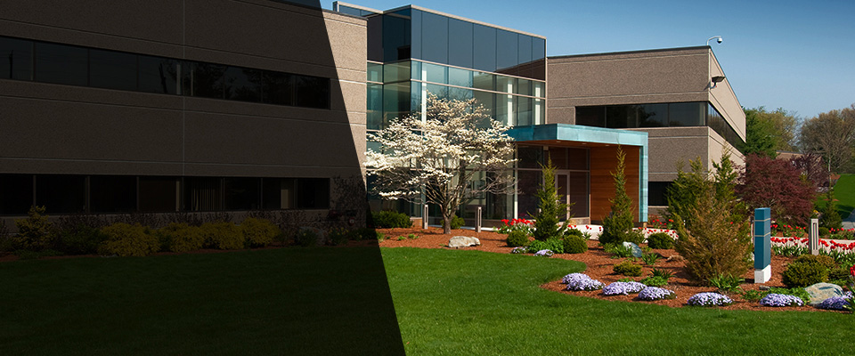 Shamokin Landscapers