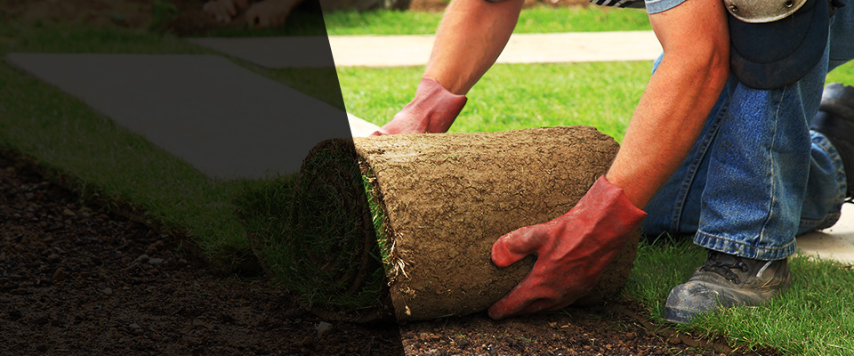 Shamokin Landscapers